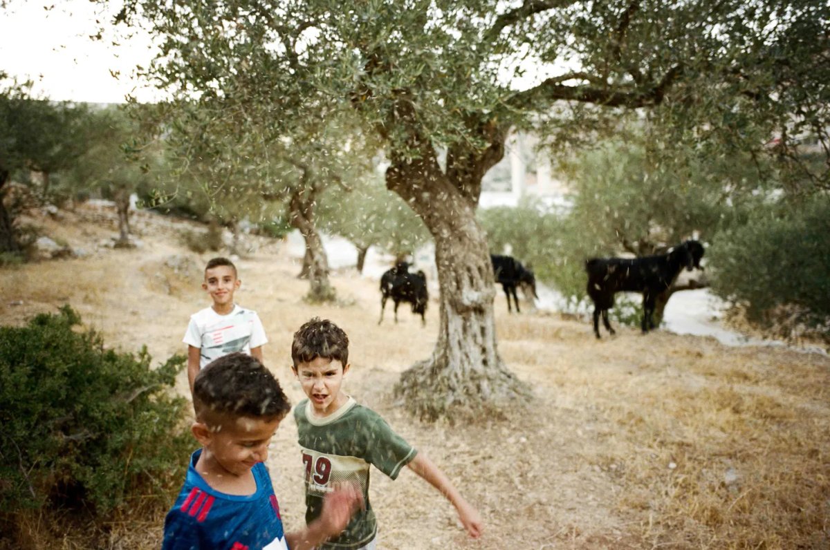 Adam Rouhana, Before Freedom (2022-23) Image: © Adam Rouhana