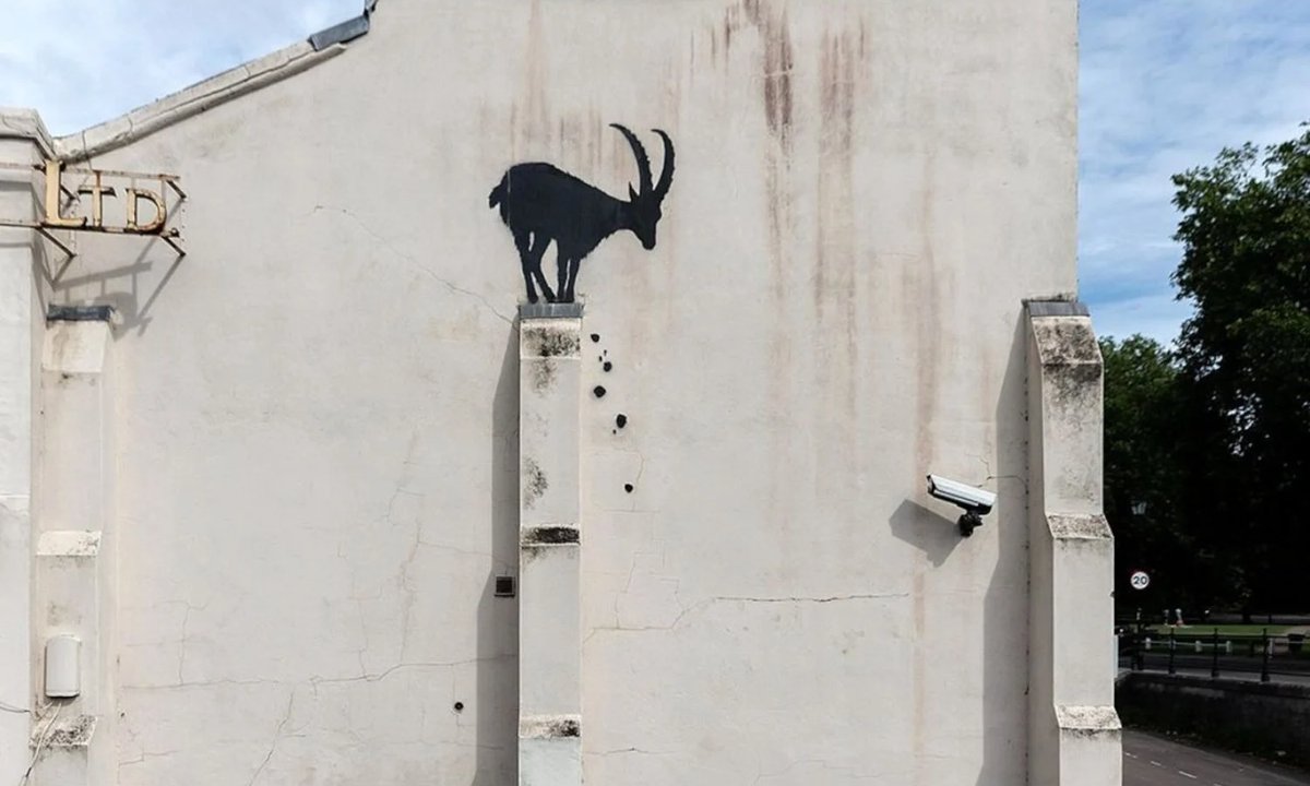 goat and elephant silhouettes fox the nation