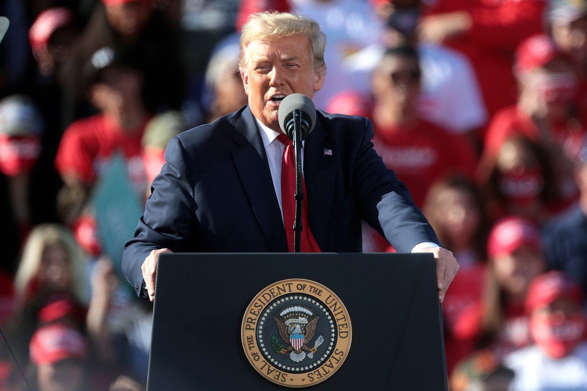 Donald Trump at a campaign rally in Arizona, October 2020 Photo: Gage Skidmore, via Wikicommons