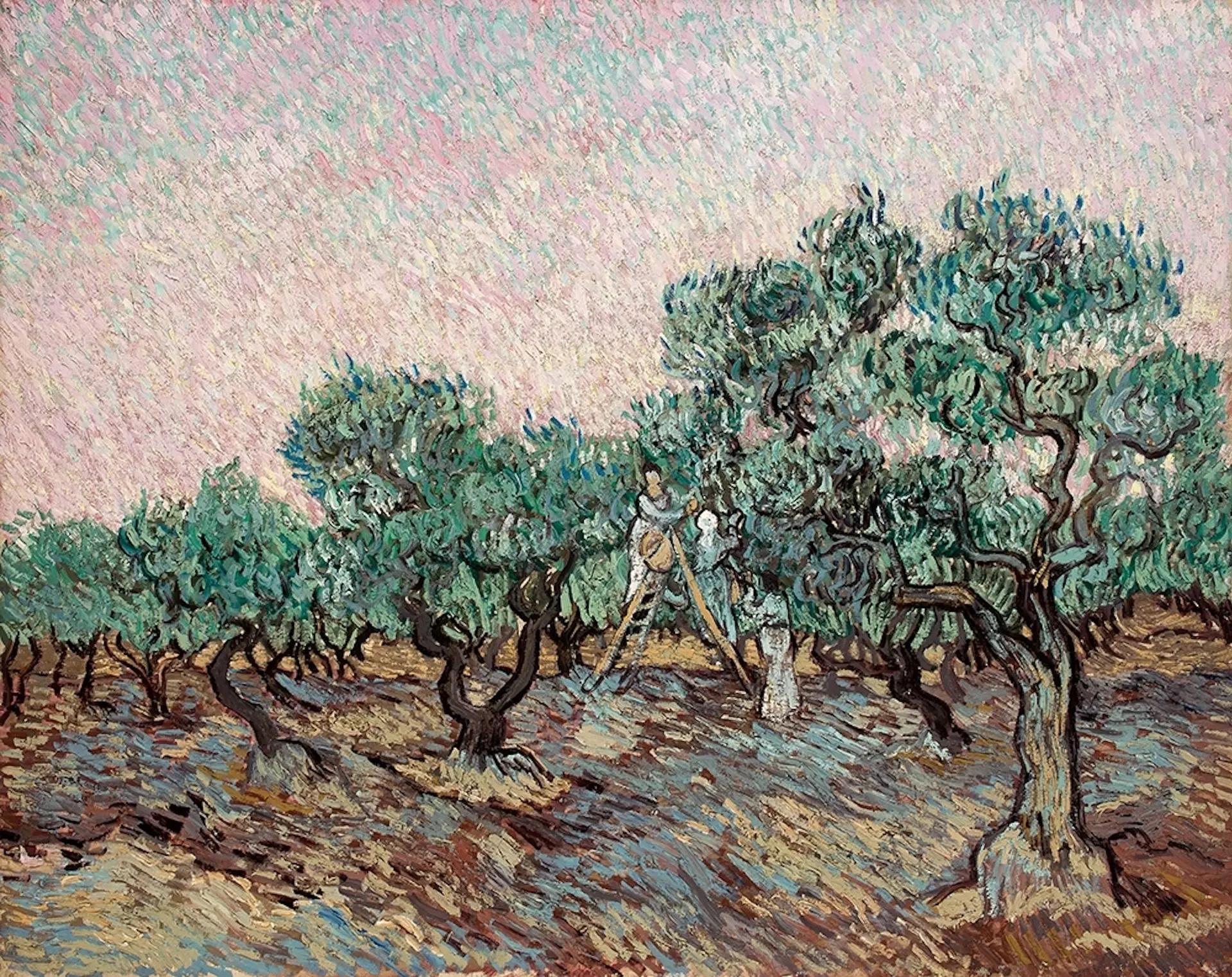Van Gogh’s Olive Picking (November 1889) Basil & Elise Goulandris Foundation, Athens
