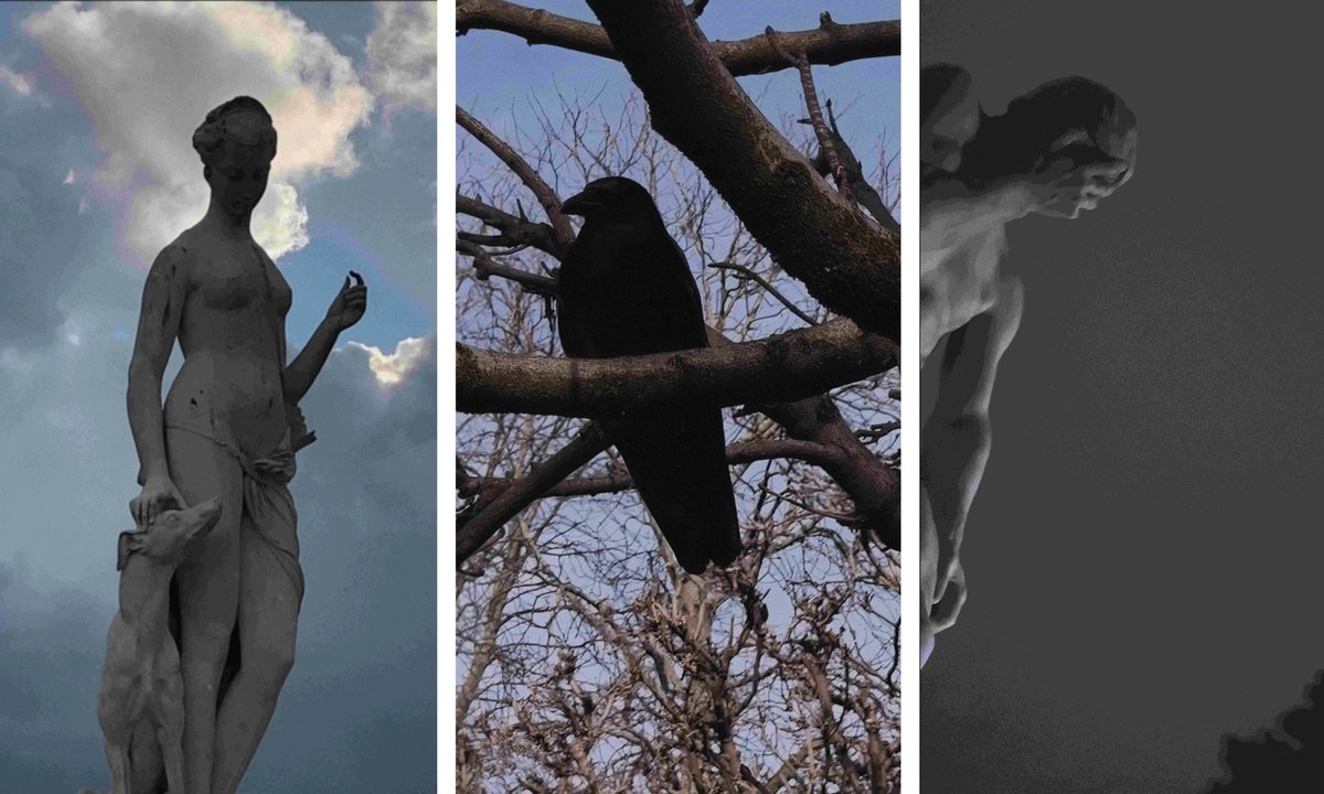 Louvre acquires first-ever video work