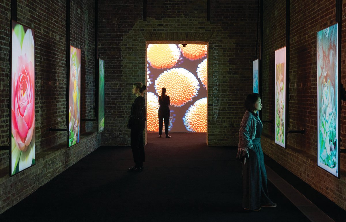 An installation view of Refik Anadol: Echoes of the Earth: Living Archive at Serpentine Galleries
© Hugo Glendinning