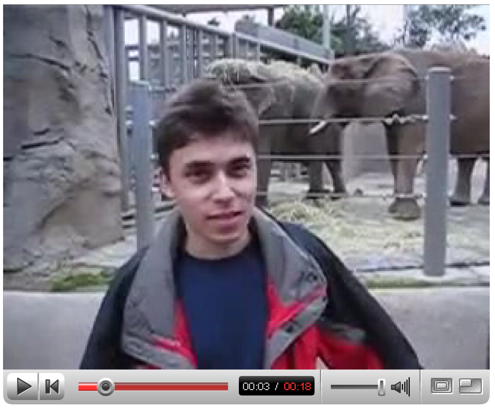 YouTube’s first ever video upload acquired by Victoria and Albert Museum in London – The Art Newspaper