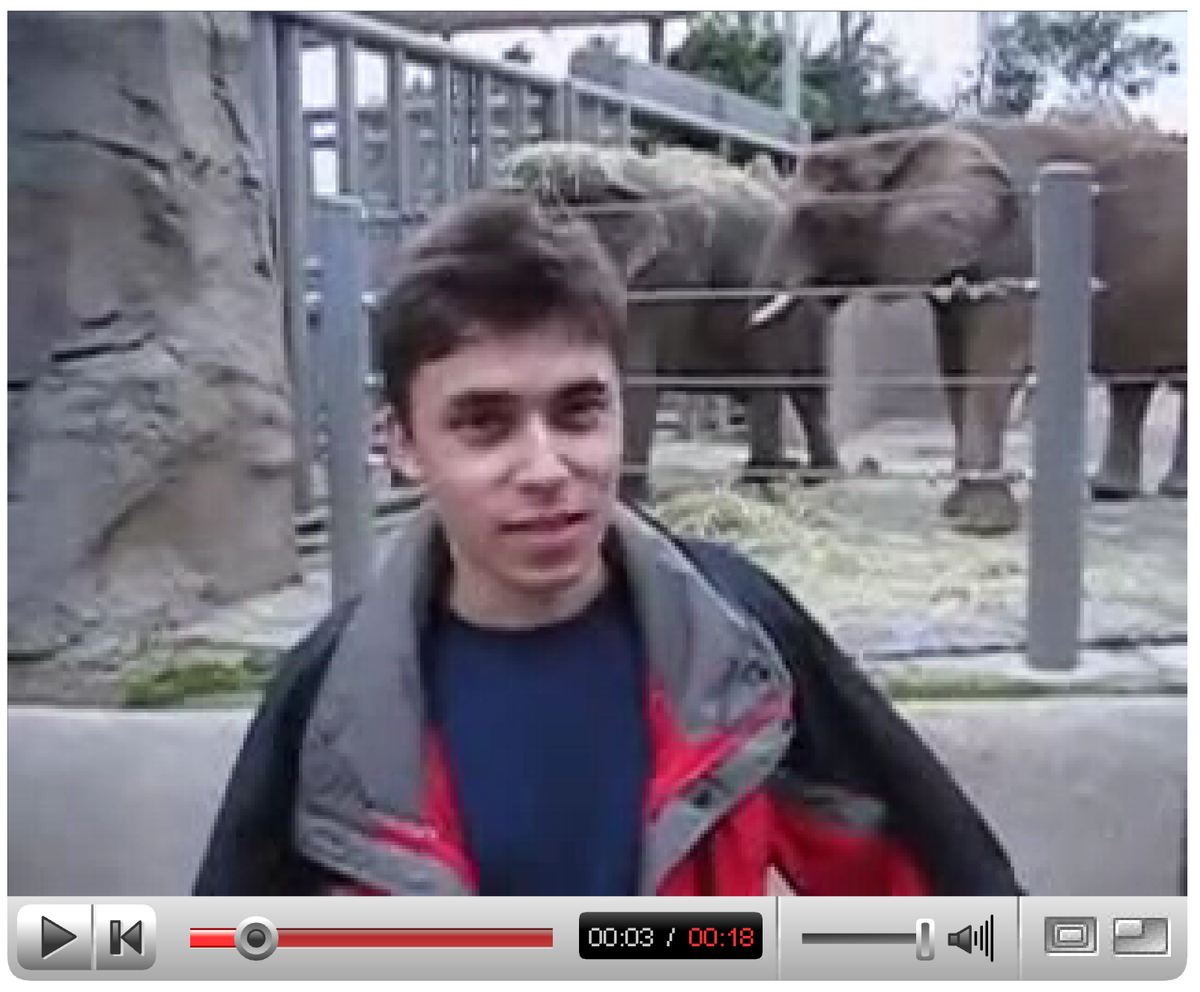 Me at the zoo video and player Courtesy of the Victoria and Albert Museum