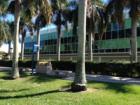 Florida art-history professor suspended over social media posts about right-wing activist Charlie Kirk