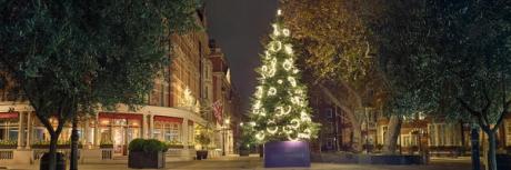  Rachel Whiteread’s Christmas tree lights up Mayfair 
