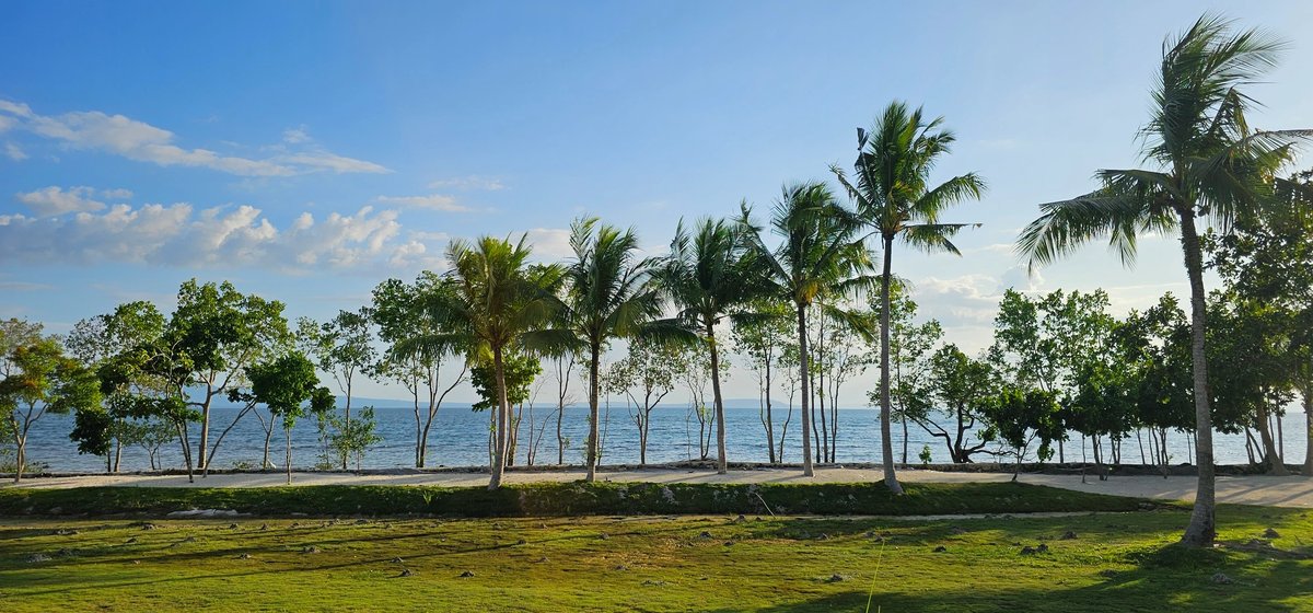 A view of Kopiat Island, home to Silverlens's new artist residency.
Courtesy of Neli Go