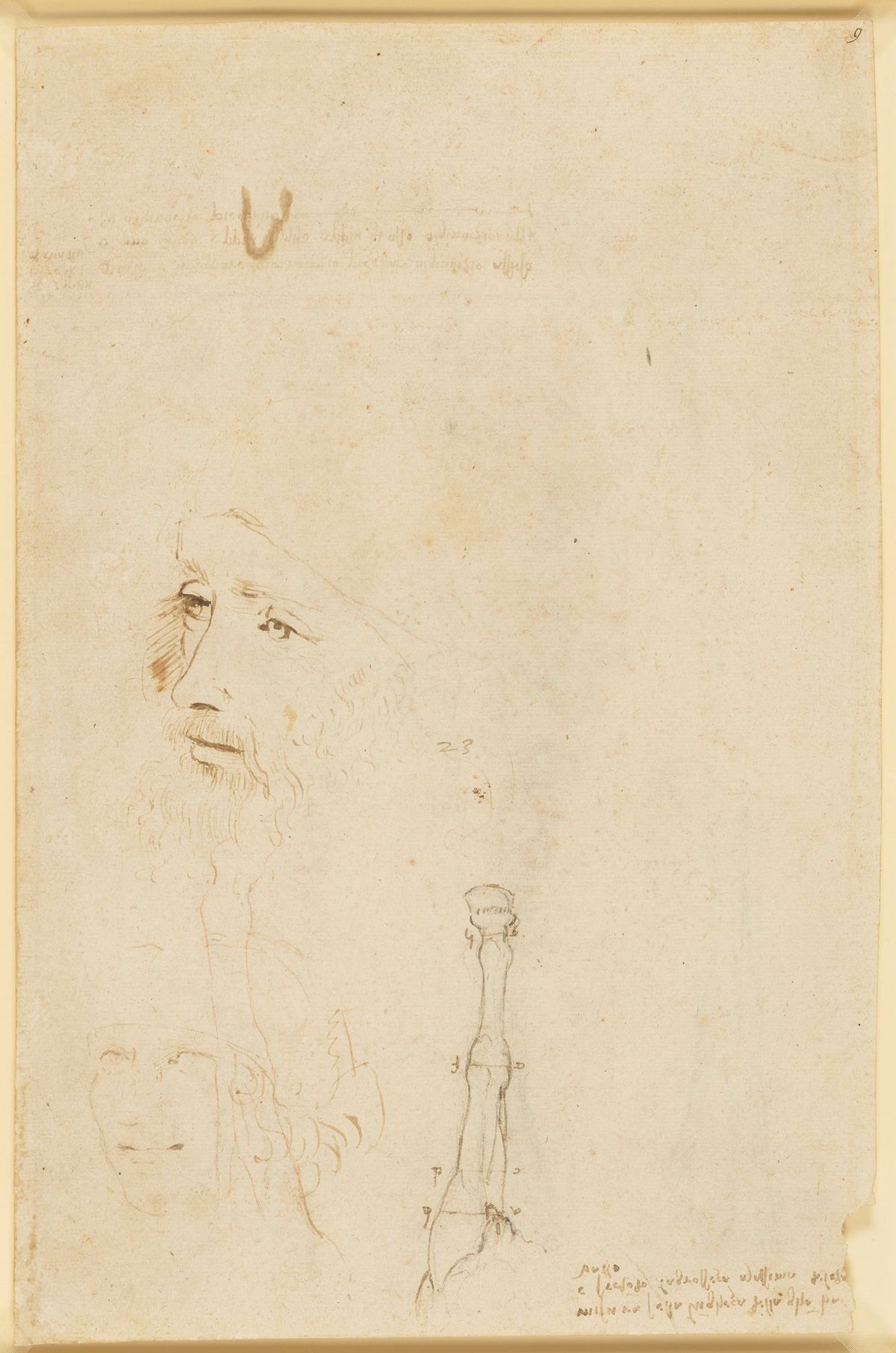 A sketch of Leonardo, the head of a youth, and a horse's legs (around 1517-18) Royal Collection Trust / © Her Majesty Queen Elizabeth II 2019