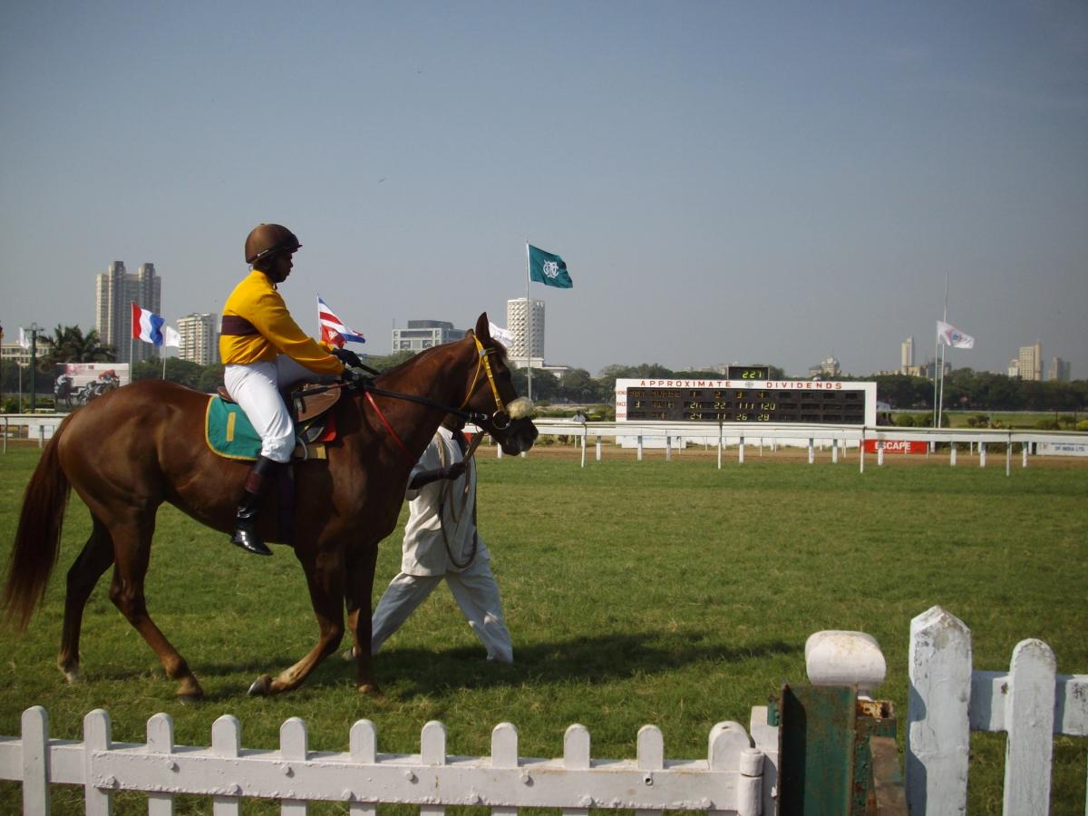 Art Mumbai will be held on the Mahalaxmi Racecourse, a horse racing track in the city's centre Photo: Rudolph.A.furtado
