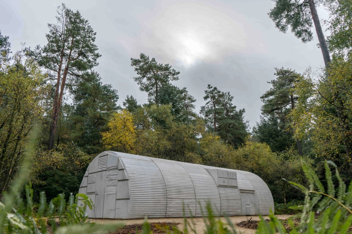 Rachel Whiteread's Nissen Hut (2018) © Ben Thomas, Forestry Commission