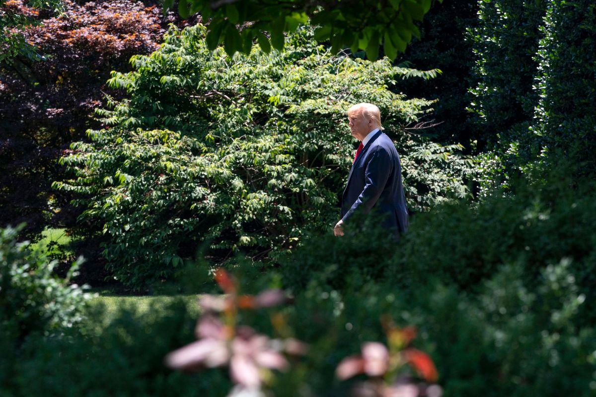 US President Donald Trump in the White House garden in June 2019 Official White House Photo by Joyce N. Boghosian, via Flickr
