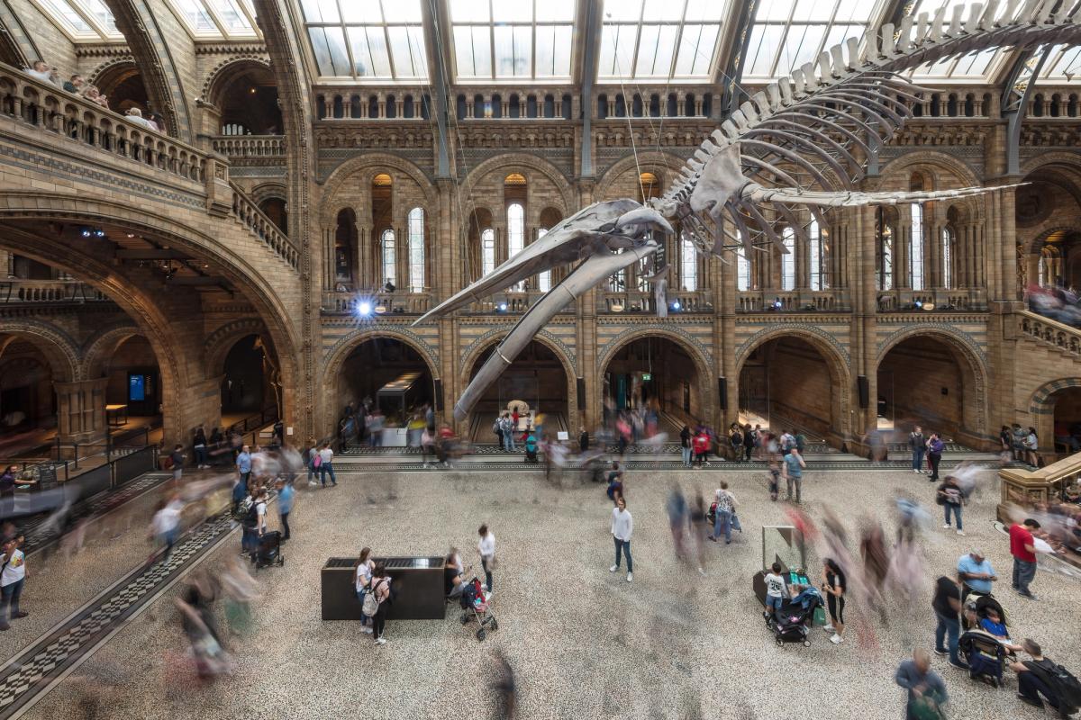 Guards at the Science Museum, the Victoria and Albert Museum and the Natural History Museum will take part in the strikes

The Natural History Museum, London. Photo by Michael Evans via Adobe Stock