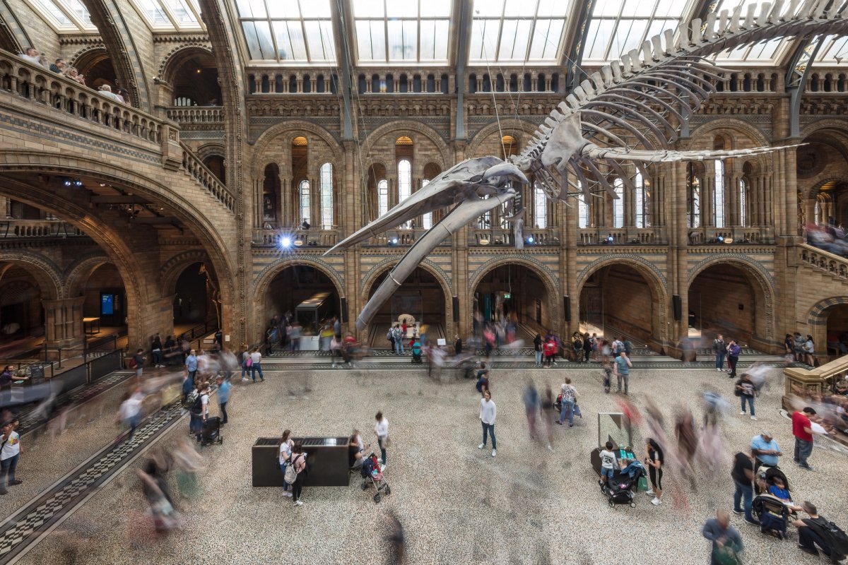Guards at the Science Museum, the Victoria and Albert Museum and the Natural History Museum will take part in the strikes
The Natural History Museum, London. Photo by Michael Evans via Adobe Stock