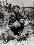 September Book Bag: from Don McCullin’s powerful Vietnam images to a behind-the-scenes dive into Paula Rego’s studio