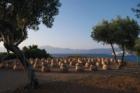 Danae Stratou wins G&A Mamidakis Foundation Art Prize 2025