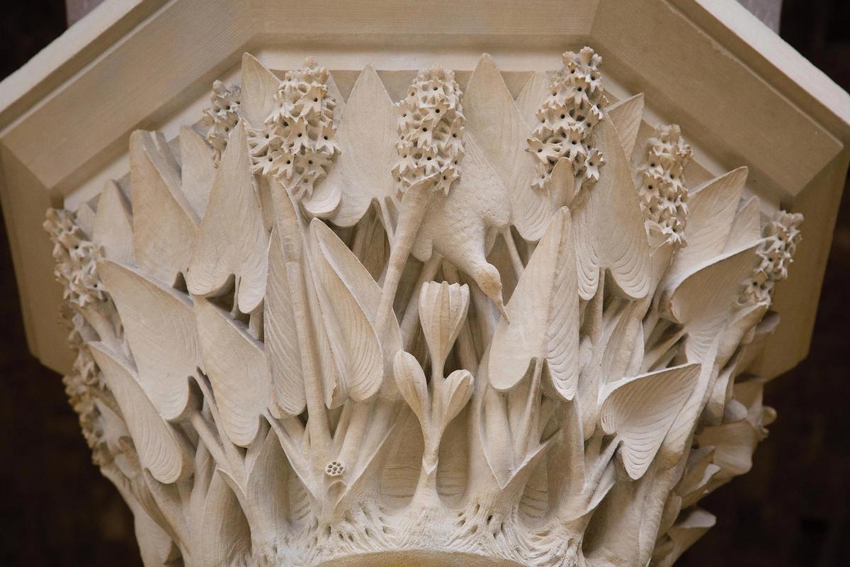 A living ecosystem: one of the O’Shea brothers’ startlingly vivid carvings of a capital inside the Oxford Museum of Natural History Courtesy Natural History Museum, London
