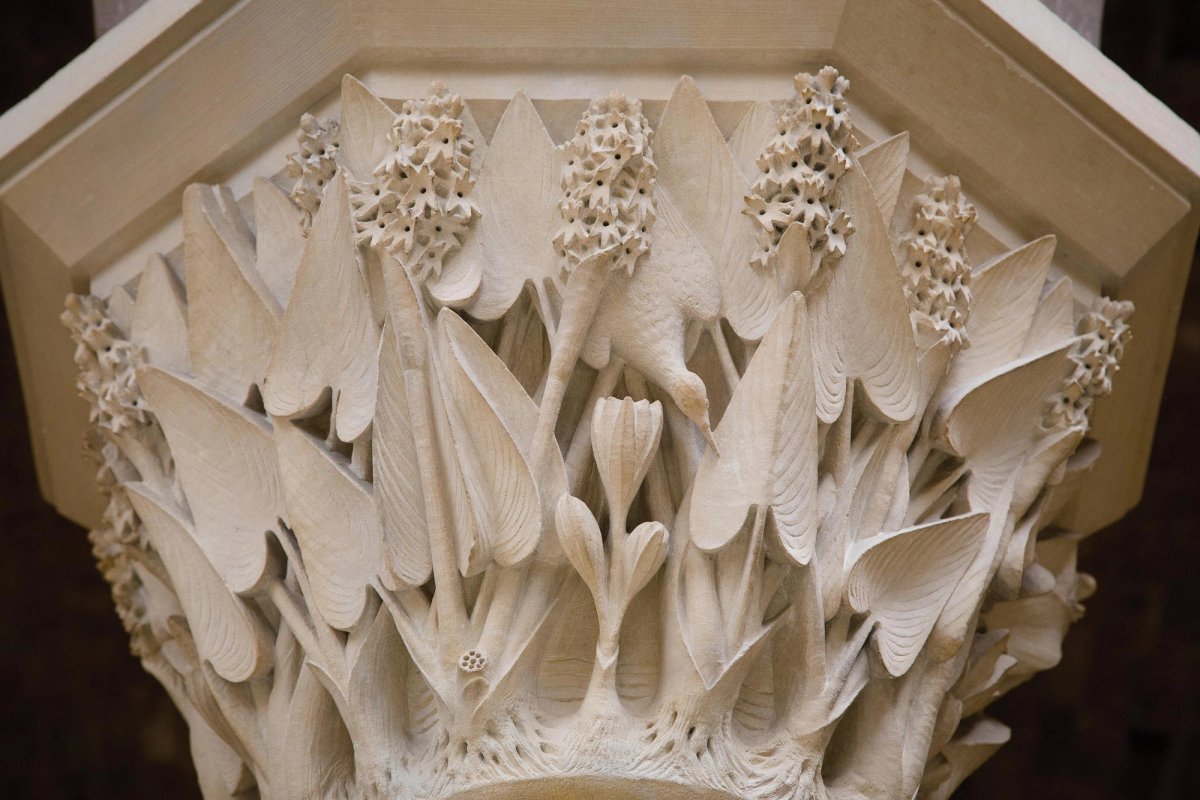 A living ecosystem: one of the O’Shea brothers’ startlingly vivid carvings of a capital inside the Oxford Museum of Natural History Courtesy Natural History Museum, London