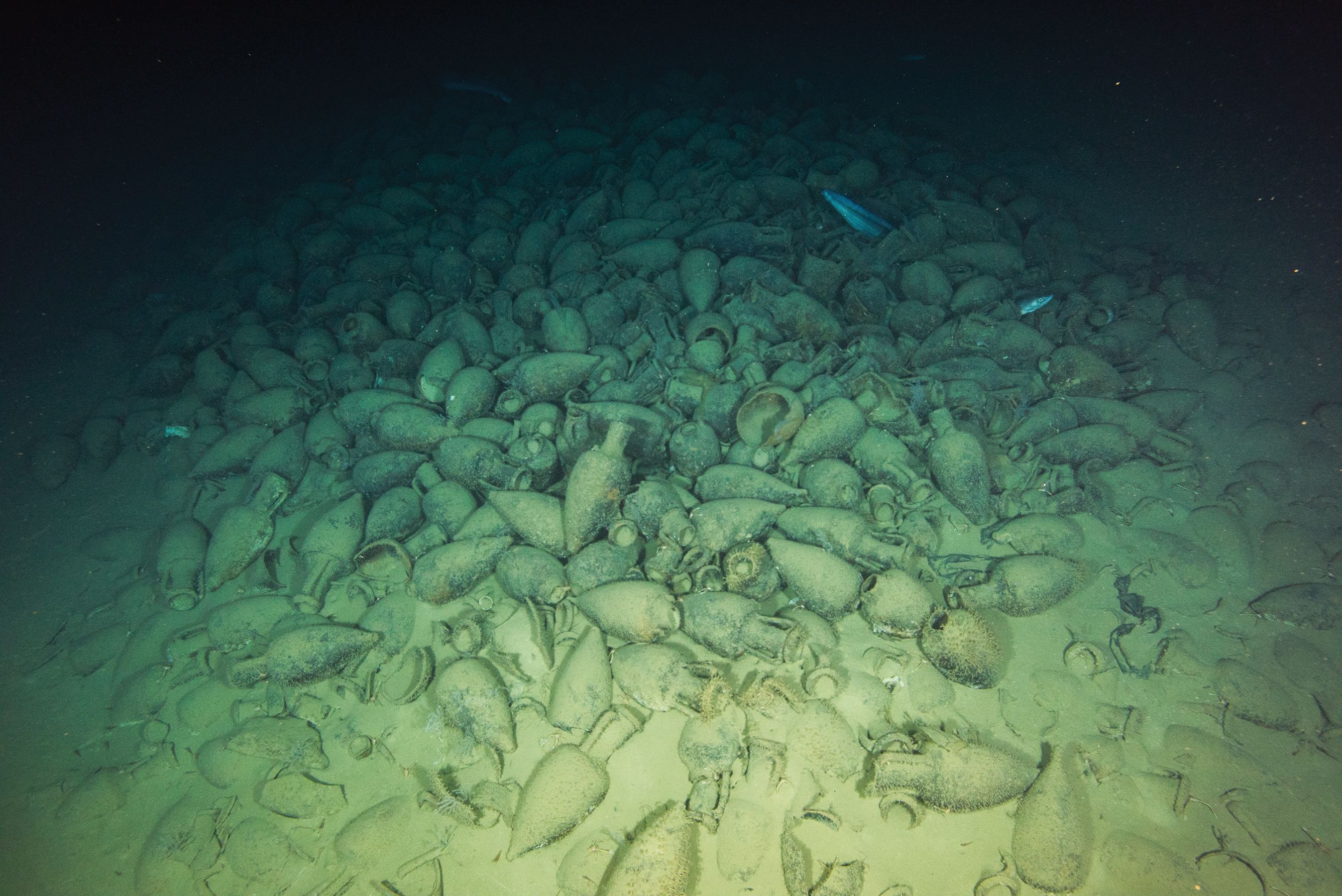 Shipwrecks ahoy? Unesco’s underwater mission scours sea bed off Italy for archaeological treasures