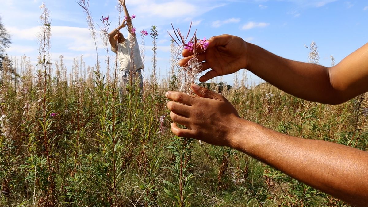 Still from Adham Faramawy's The Air is Various, Subtle and Sweet (2020) Courtesy of the artist and Niru Ratnam