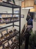 Smells like teen spirit: inside the world’s first scent-lending library