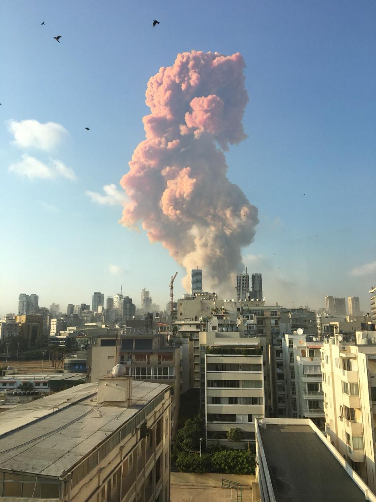 The view of the explosion from the the artist Marwan Chamaa's home Courtesy of the artist