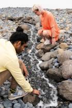 Comment | In worrying times for politics and the environment, art can still provide hope