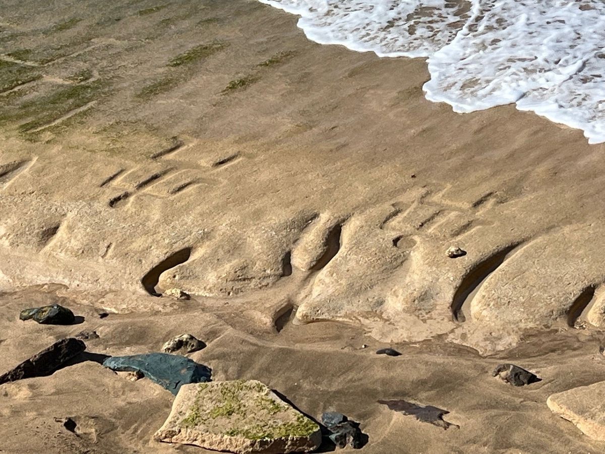 Ancient Hawaiian petroglyphs revealed at Pililaau Army Recreation Center, 12 July 2025 Photo: Nathan Wilkes, courtesy US Army