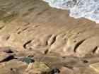 Ancient stone carvings uncovered on Hawaiian beach