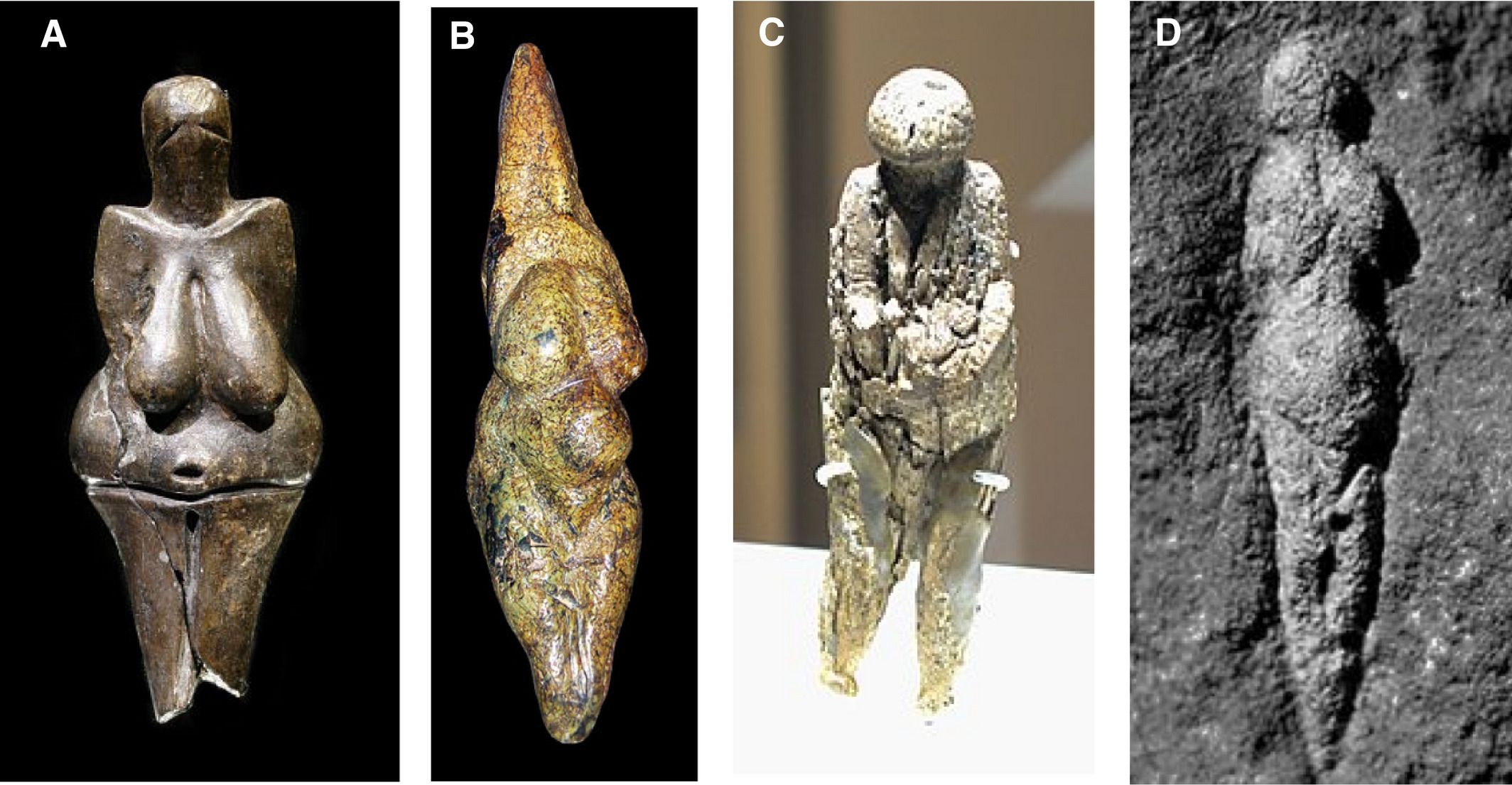 Venus figurines from Europe and the steppes of Russia, from left: Venus of Dolni Vestonice, Czech, 26,000 BP, Venus of Savignano, Italy, 24,000‐23,000 BP, Venus of Zaraysk, Russia, 19,000 BP, Venus of Abri Pataud, France, 21,000 BP Photos: Wikipedia