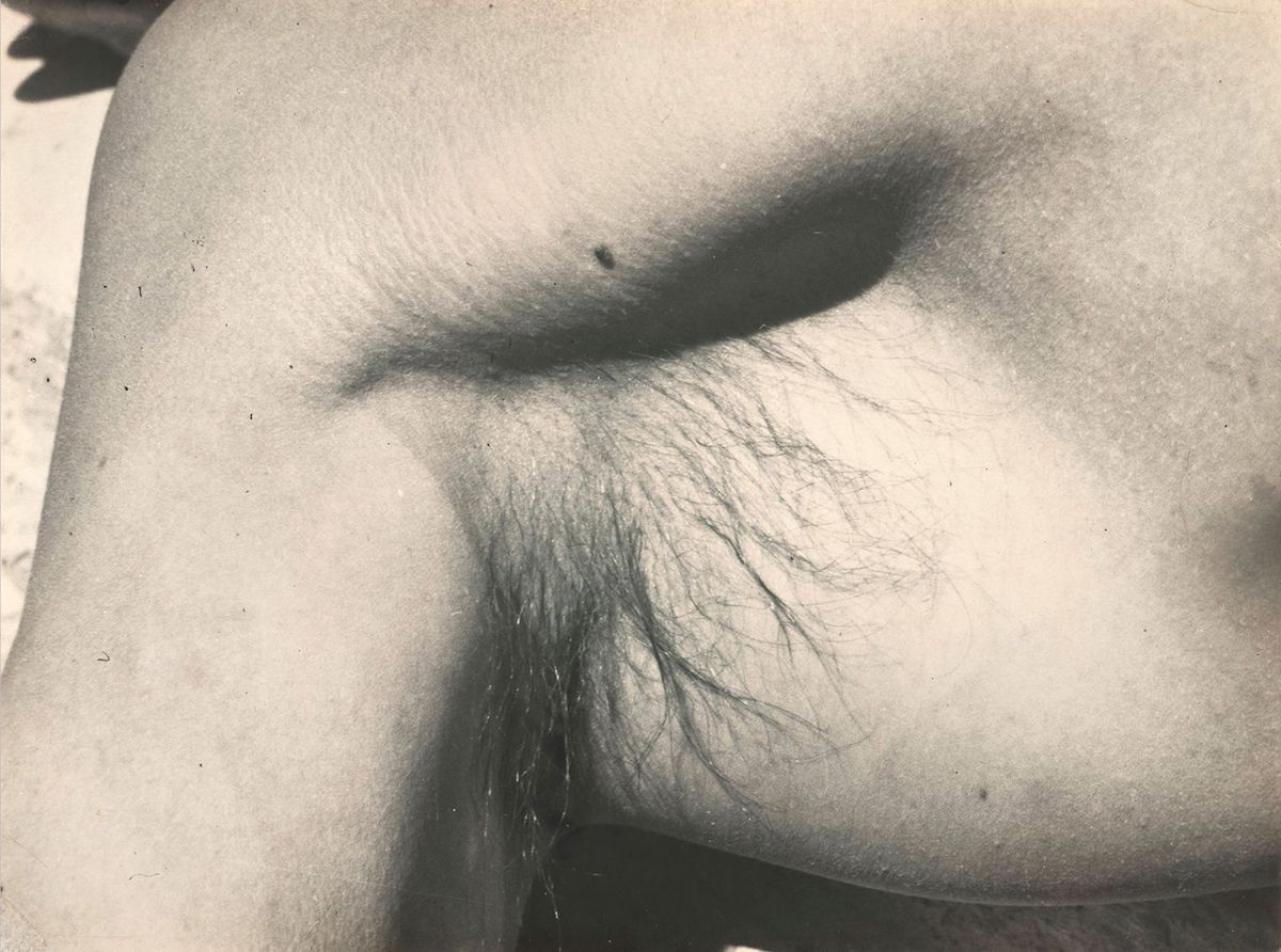 Ilse Salberg, Anton in Detail (1938) Galerie Berinson