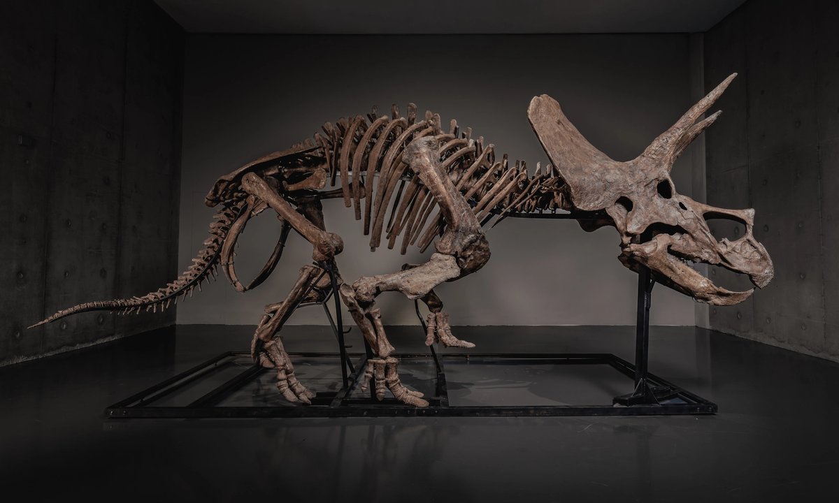 Trey the Triceratops sells for $5.5m via Pharrell Williams’s auction site – The Art Newspaper