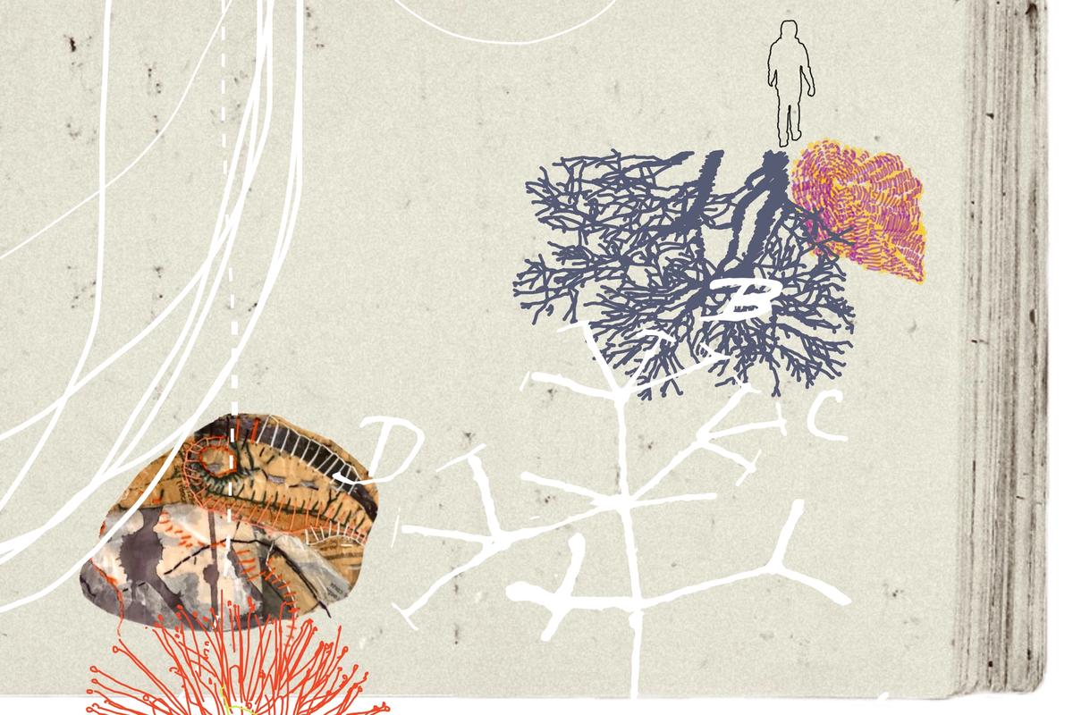 Courtesy of South South Project