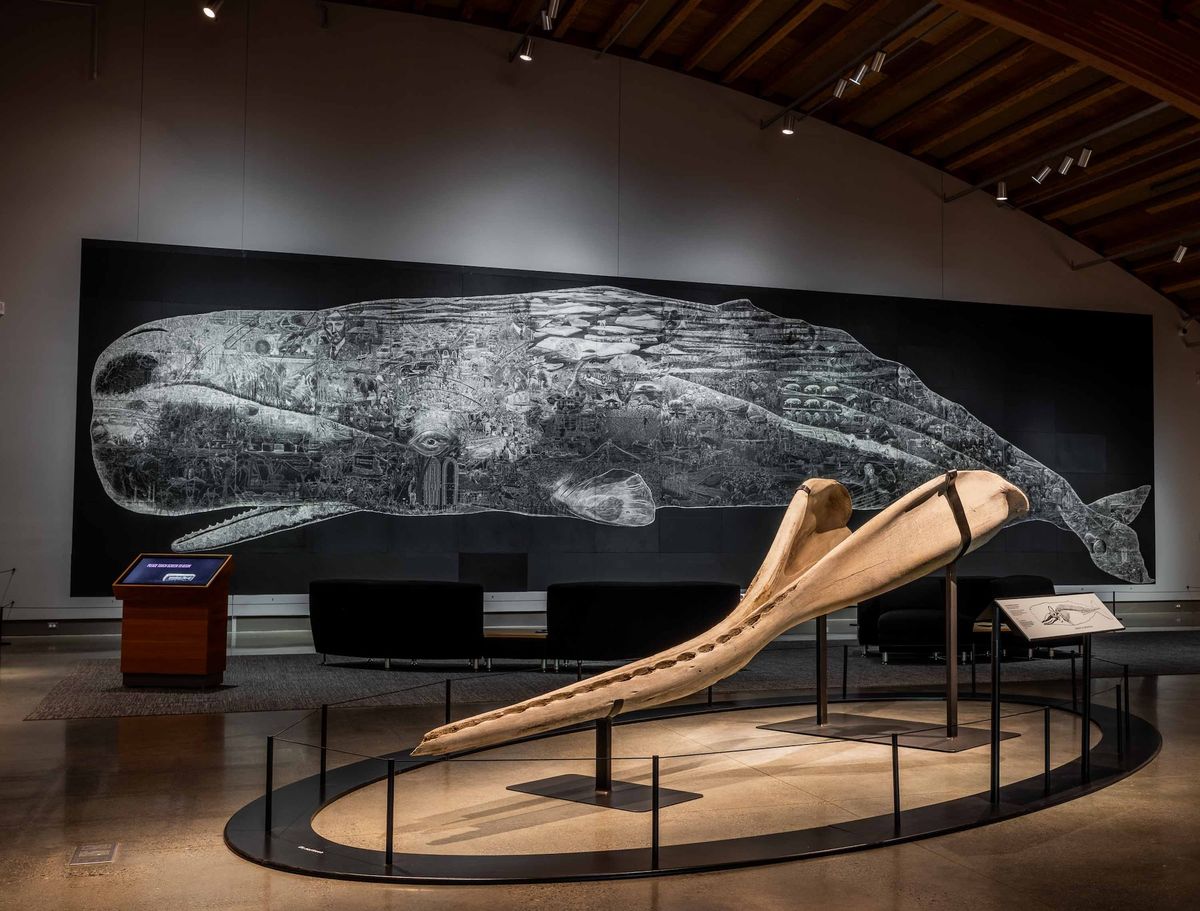 The lower jawbone of a sperm whale with Jos Sances’s Or, The Whale (2019–20) in the background at Monstrous: Whaling and Its Colossal Impact Courtesy the Mystic Seaport Museum, Connecticut