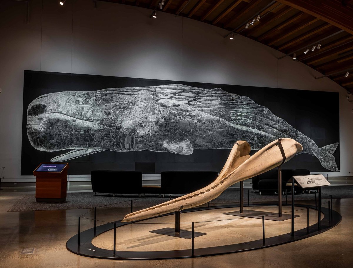 The lower jawbone of a sperm whale with Jos Sances’s Or, The Whale (2019–20) in the background at Monstrous: Whaling and Its Colossal Impact Courtesy the Mystic Seaport Museum, Connecticut