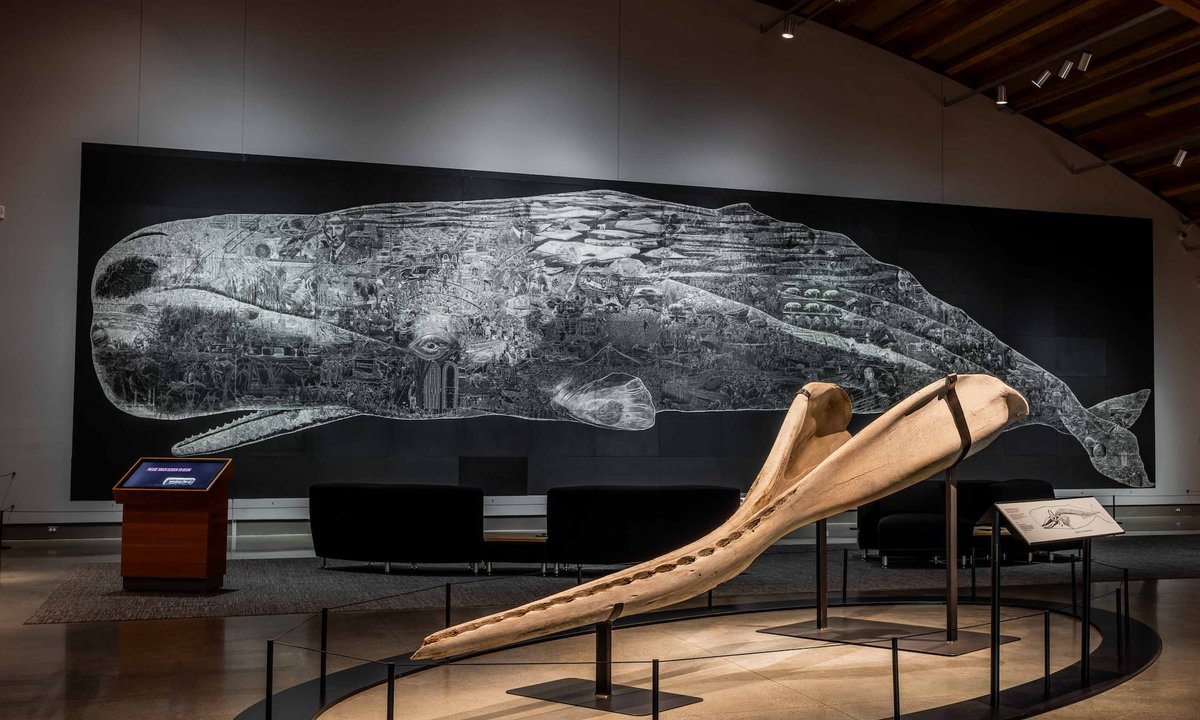 Mystic Seaport Museum exhibition chronicles whale oil industry's far-reaching impact