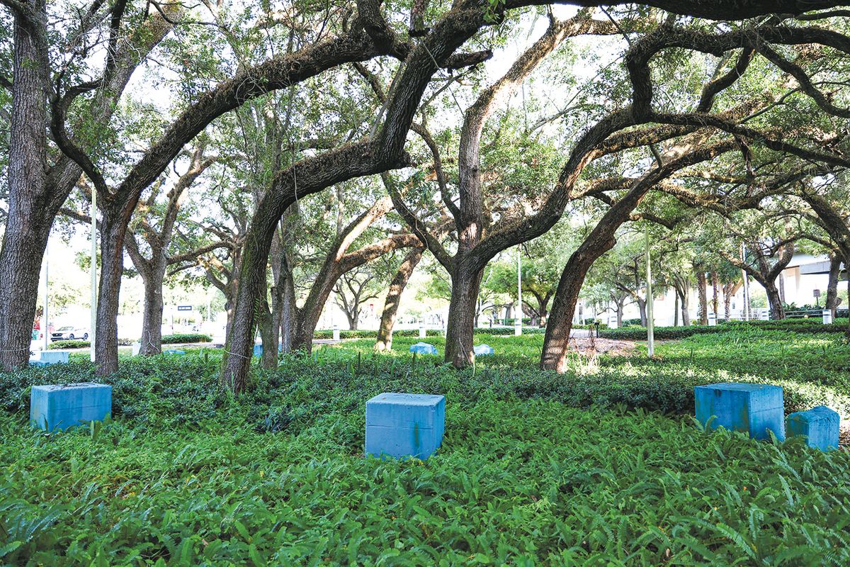 Beverly Buchanan’s quietly powerful Blue Station Stones are located miles away from the glitz and glamour of Miami Beach, near the Earlington Heights Metrorail station in Miami’s Brownsville district Liliana Mora