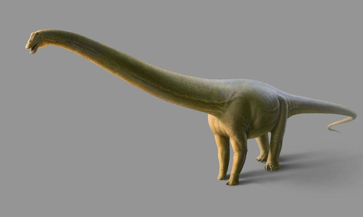 After public vote, Los Angeles Natural History Museum’s star dinosaur fossil christened with unusual gname After public vote, Los Angeles Natural History Museum’s star dinosaur fossil christened with unusual gname