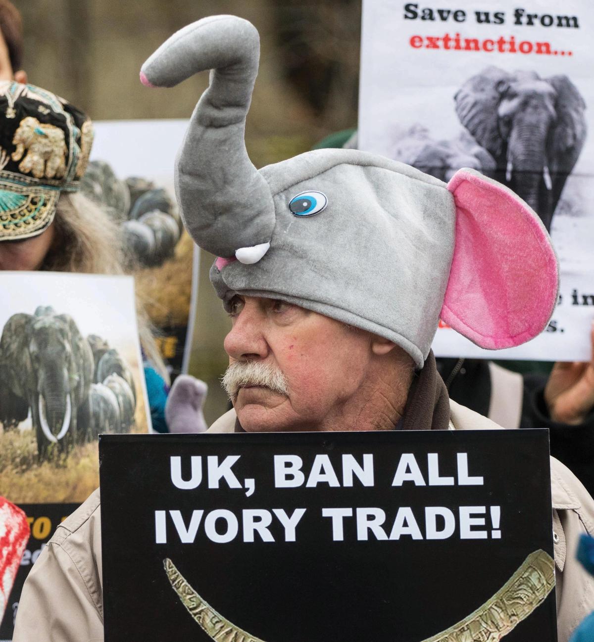 Protestors calling for a ban on the ivory trade outside the Houses of Parliament in 2017 © Paul Davey/Barcroft Media
