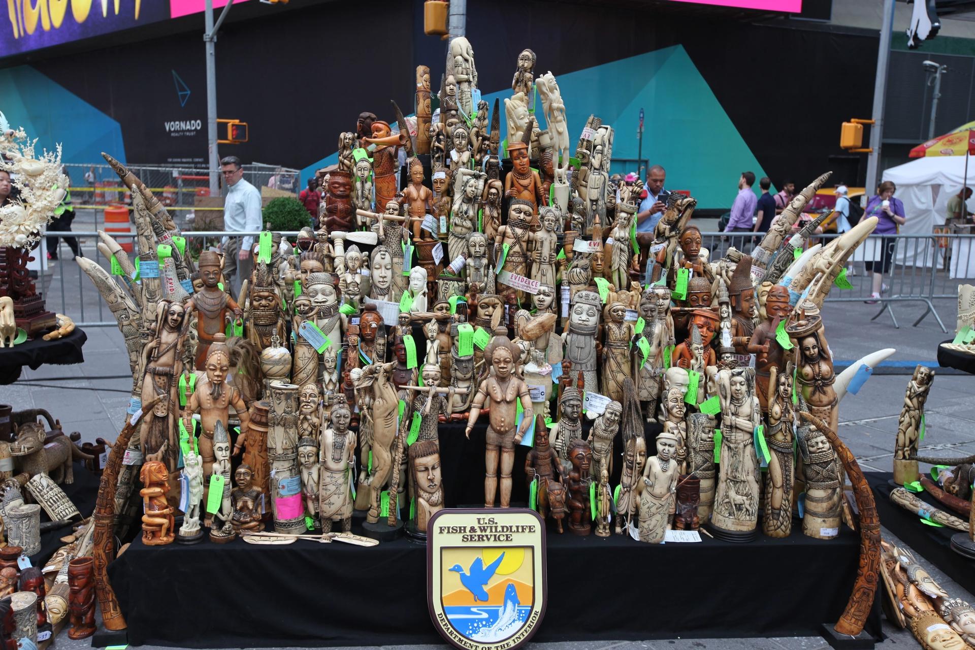 Some of the seized ivory objects destroyed during the 2015 ivory crush event in Times Square. Tylar Greene/FWS. 