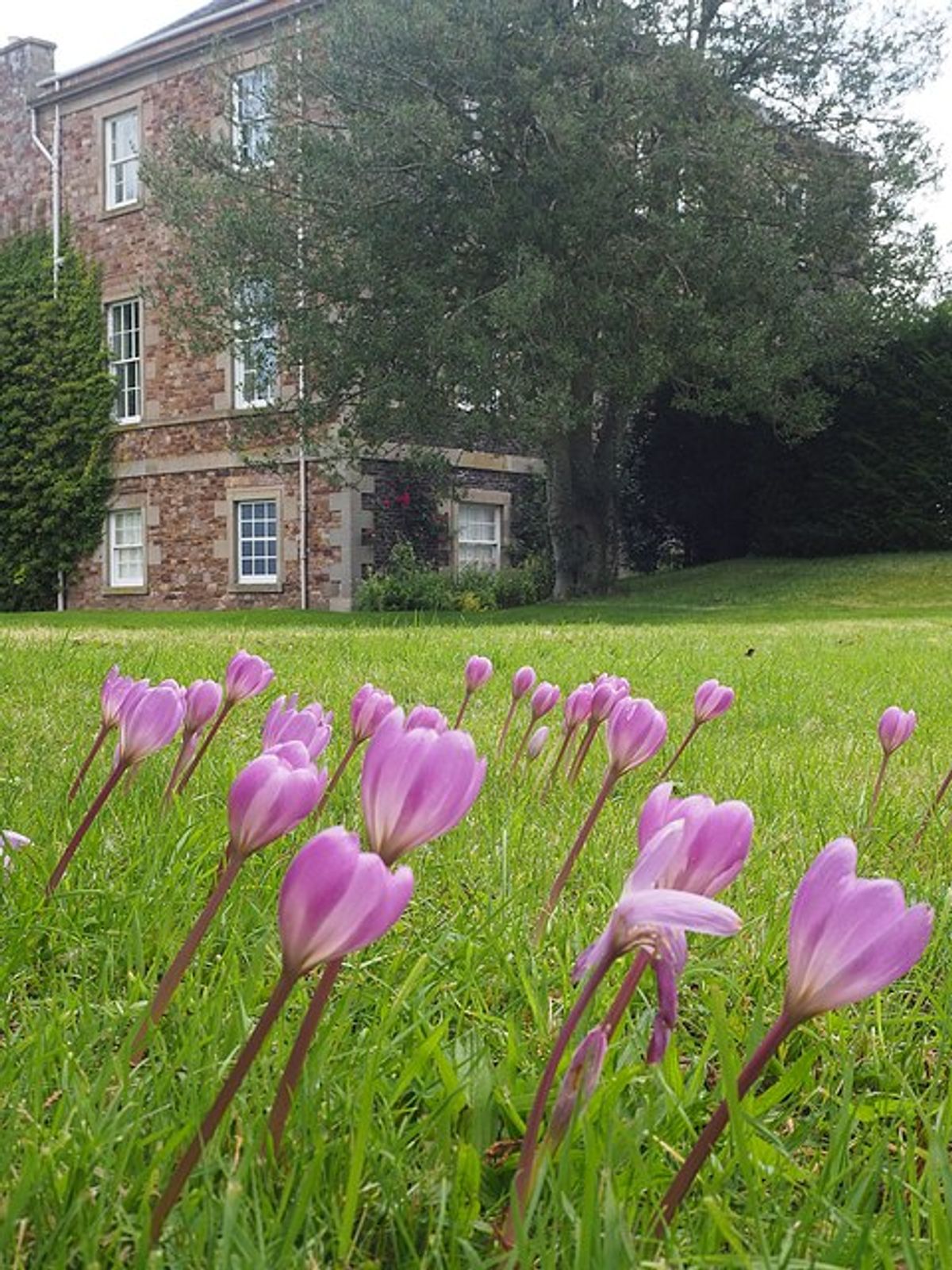 Harmony House in Scotland is one of many National Trust properties that have connections to slavery Photo: © Graham Hogg