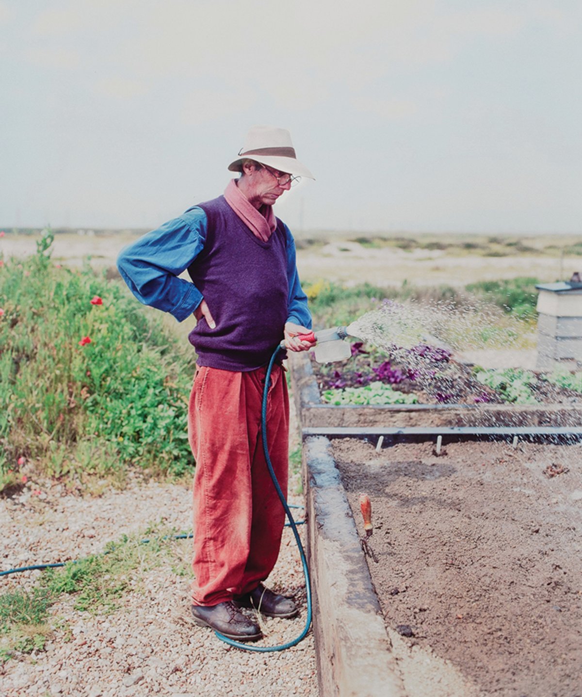 Derek Jarman tended his garden at Prospect Cottage, on the Kent coast, from 1986 until shortly before his death in 1994 © Howard Sooley