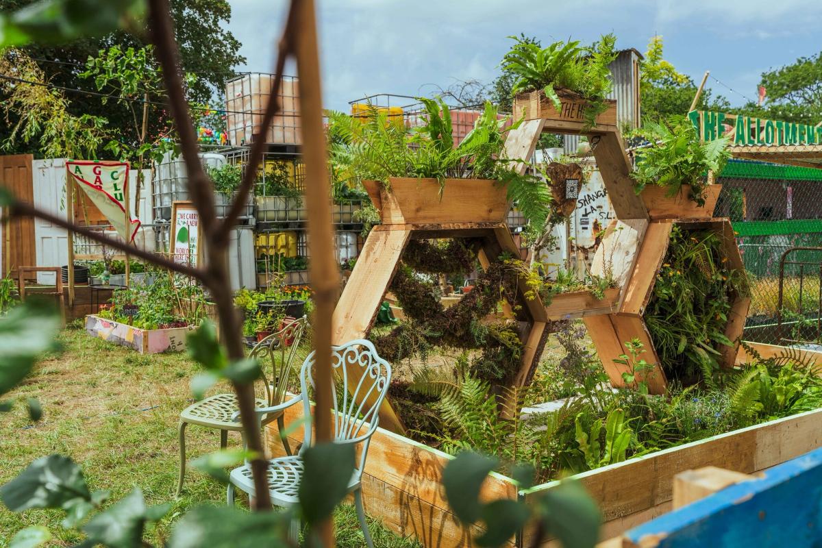 Plants replaced works of art in the Allotments at Shangri-La this year Leora Bermeister