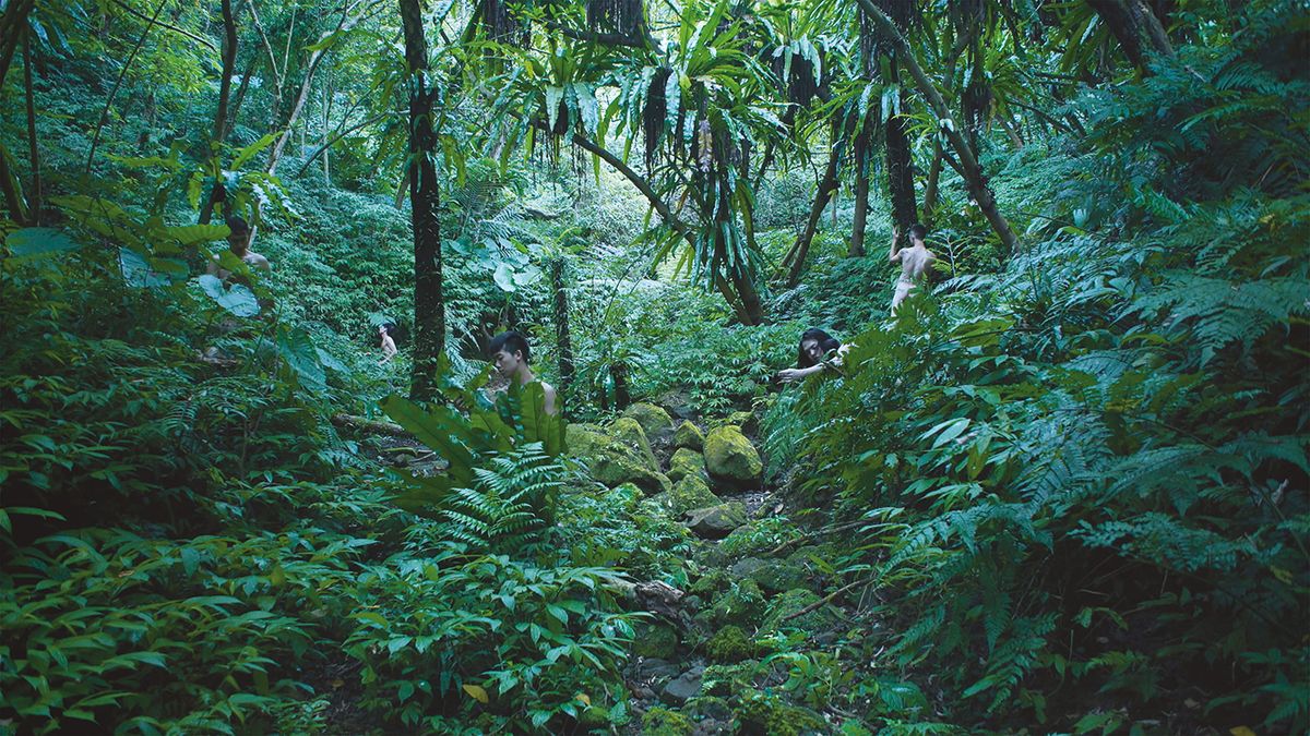 A still from Zheng Bo’s video work Pteridophilia 1 (2016). The artist is one of five whose life stories and practices are explored in depth in the book Courtesy of the artist and Kiang Malingue (Hong Kong)