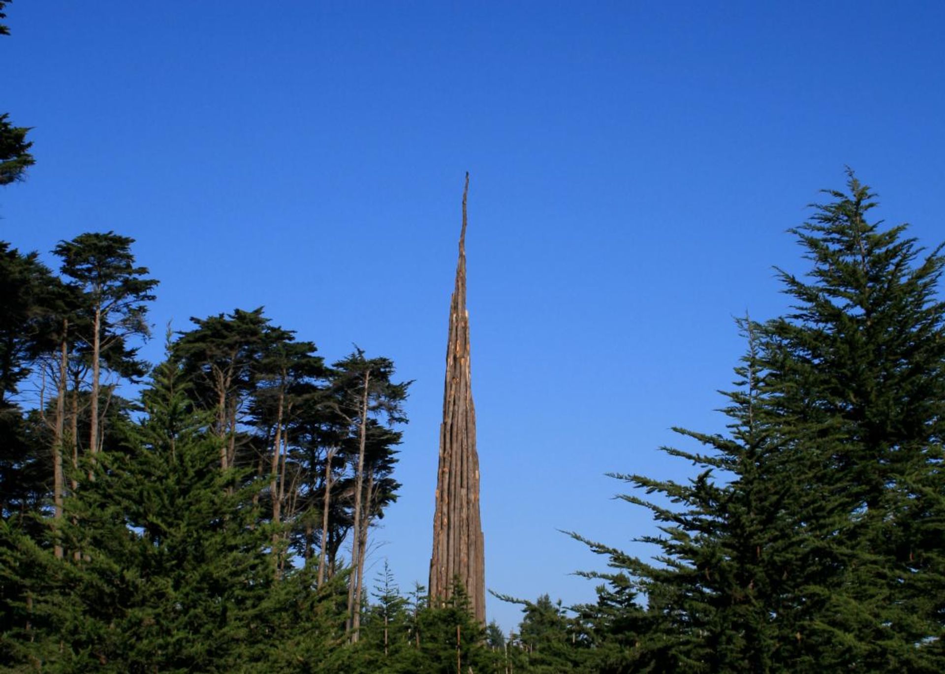 Spire (2008) by Andy Goldsworthy in San Francisco's Presidio national park © Andy Goldsworthy