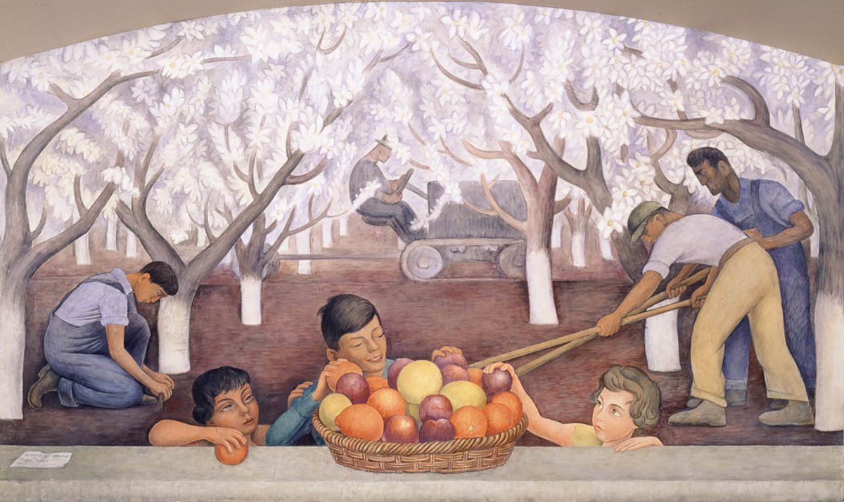 Still Life and Blossoming Almond Trees (1931) was among the first murals Diego Rivera created in the US
Photo: © The Regents of the University of California; © 2022 Banco de México Diego Rivera & Frida Kahlo Museums Trust, Mexico, D.F./ARS, New York
