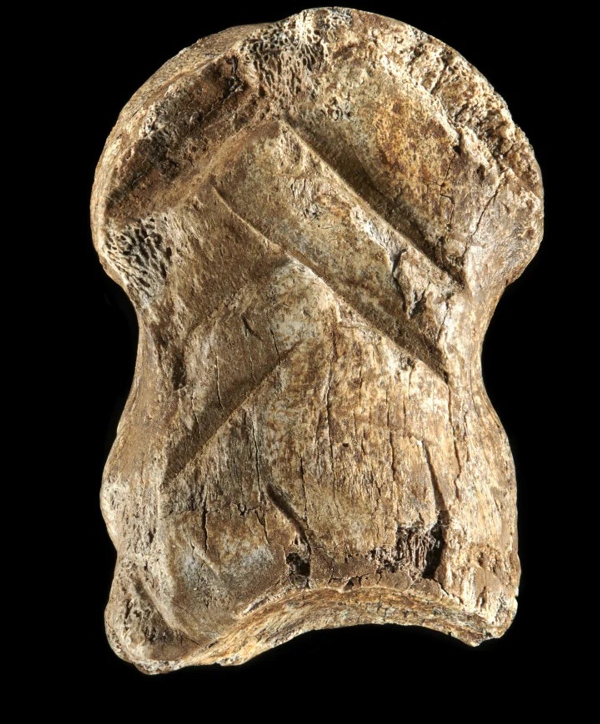 Tests carried out on the artefact suggest it is at least 51,000 years old Photo: V. Minkus / Courtesy of Lower Saxony Office for Heritage