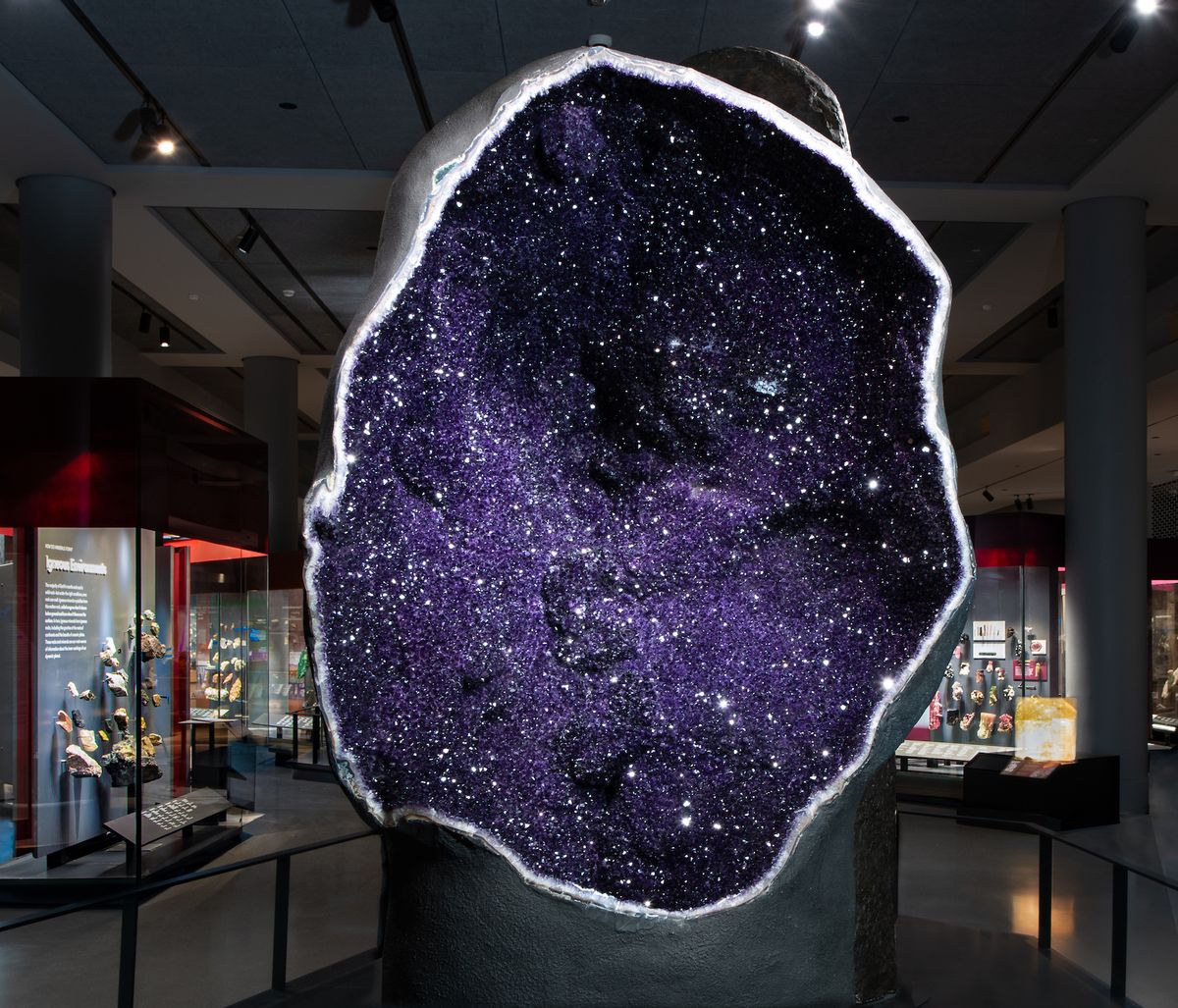 The amethyst geode pictured here stands 9 feet-tall, weighs around 12,000 pounds (5,440 kg), or about as much as four black rhinos, and was collected from the Bolsa Mine in Uruguay D. Finnin/©AMNH
