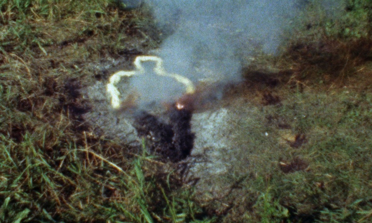 Rising from the ashes: as Los Angeles rebuilds after the wildfires, a Del Vaz Projects exhibition features subversive new ecologies