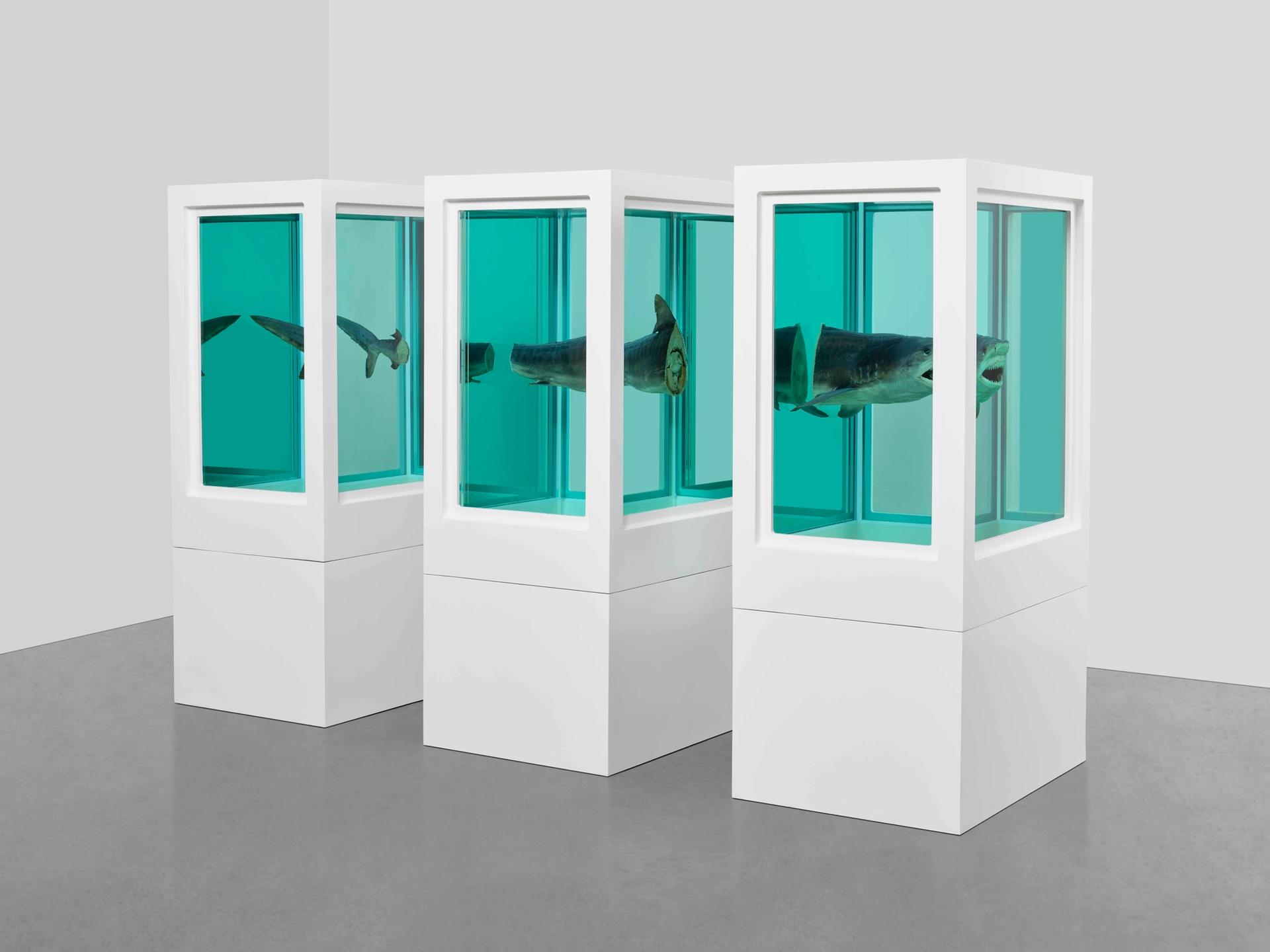 Damien Hirst's Myth Explored, Explained, Exploded (1993) will be included in the show Courtesy of the artist