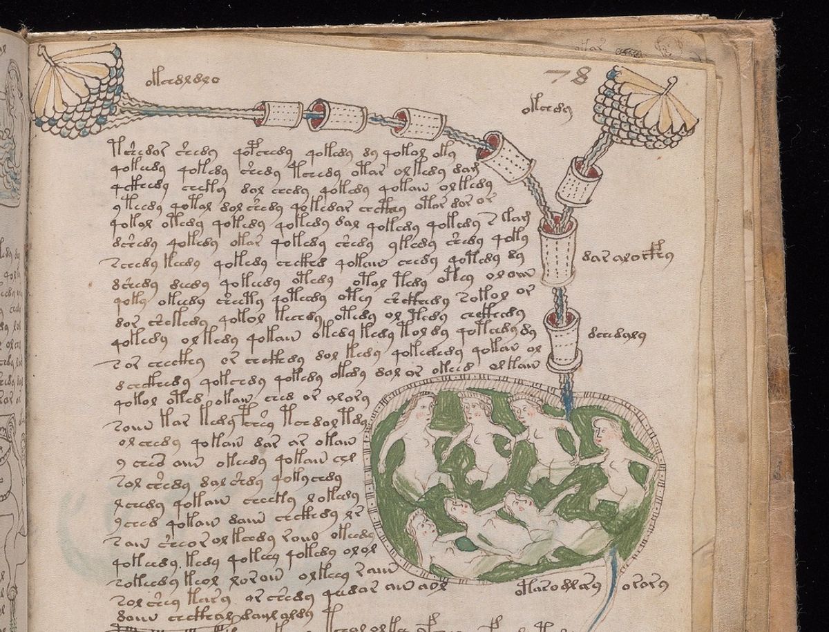 Detail from a page of the Voynich Manuscript Beinecke Rare Book and Manuscript Library at Yale University